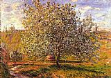 Tree in Flower near Vetheuil by Claude Monet